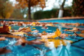 Fermeture de piscine en automne — feuilles sur l'eau